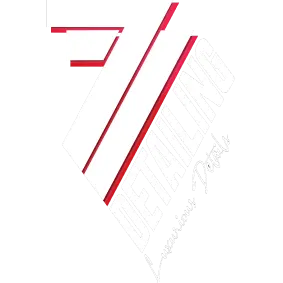 77DETAILING main logo